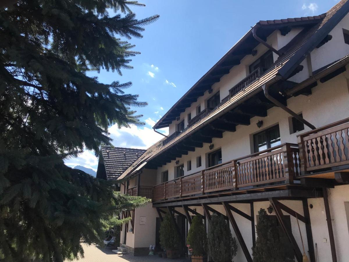 Pensiunea Haiduc Sacele Brasov Exterior foto