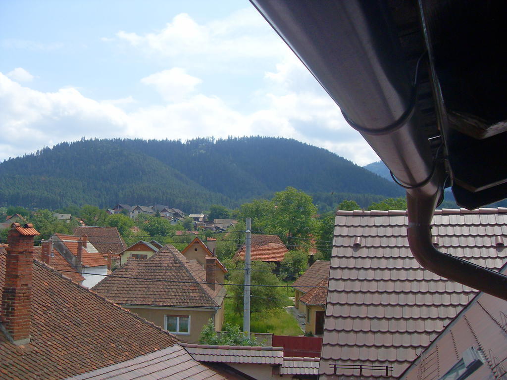 Pensiunea Haiduc Sacele Brasov Exterior foto